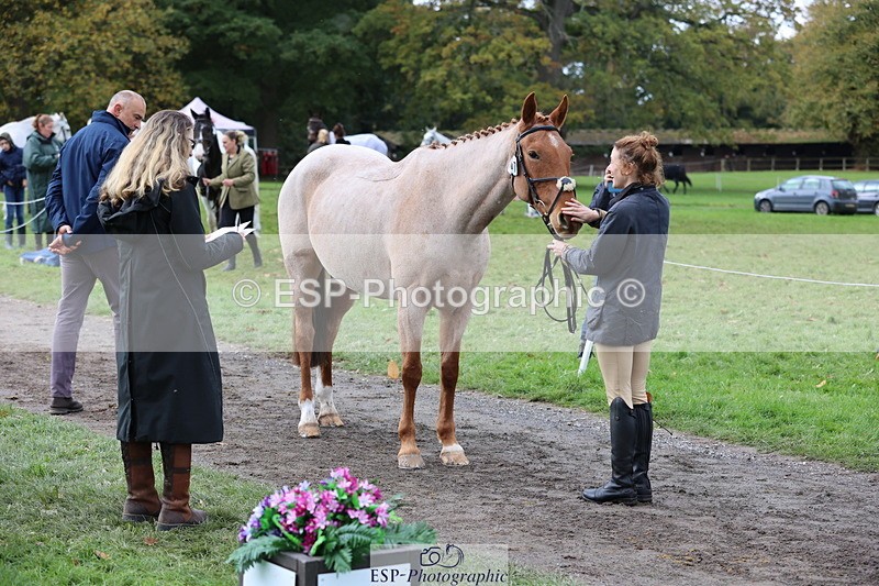 251026A-121328-25971 - G-567-Imogen.Peck