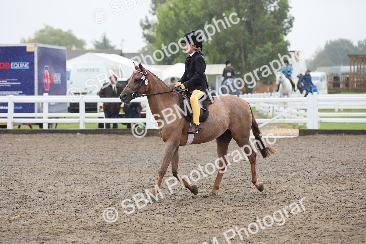 SBM_20591 - Class 804 - Ridden Veteran Pony