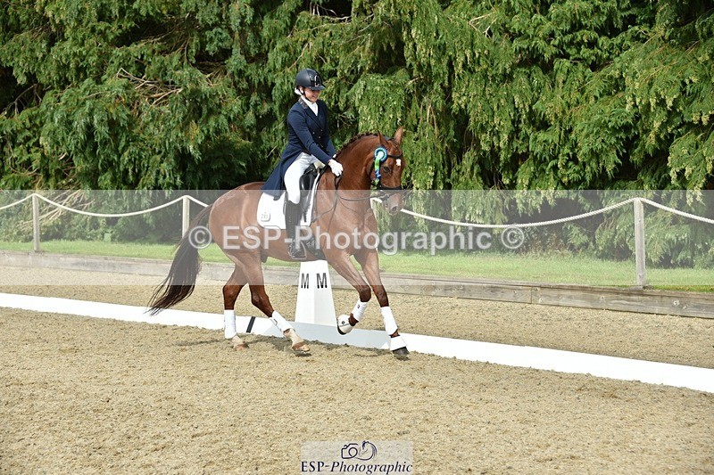 230812-160326-05343 - FEI PSG Bronze Presentations