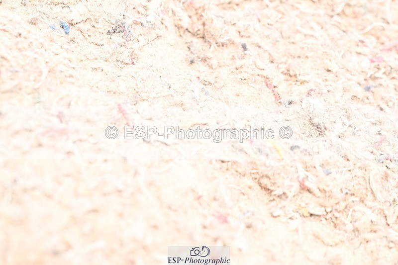 250621-143501-08797 - Cls 38 - FEI PSG