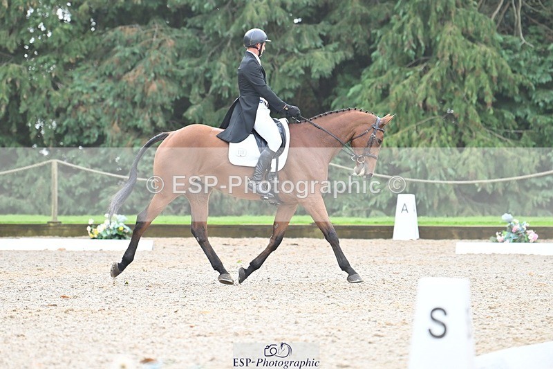 231019-115959-02985 - 111-ACQUA.MARINA.DELLA.CACCIA-Joe.Roome-DR