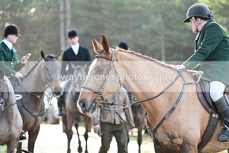 WJ7_7578 - Line 3 (no line 4 or 5)