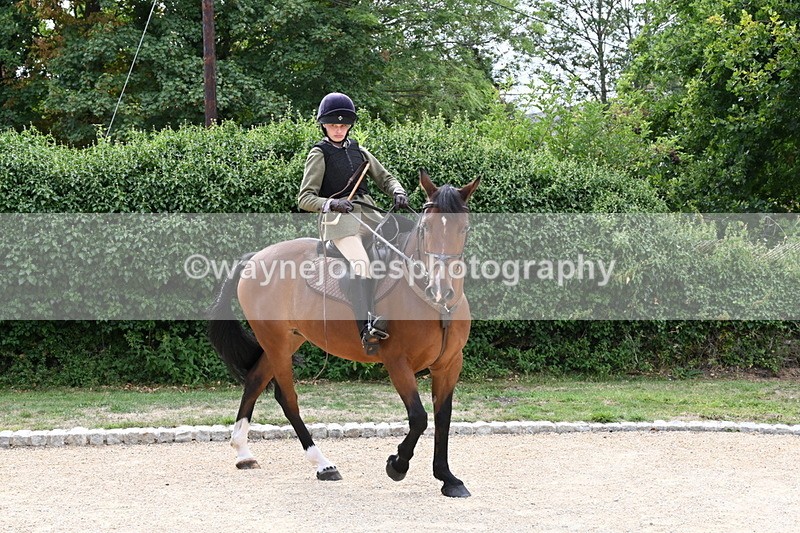 WJ6_3478 - Berks & Bucks - The Old farmhouse - Hound Exercise 20-08-25
