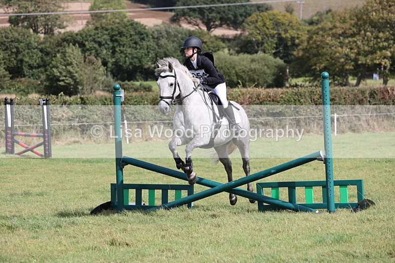 JPP_8632 - Class 2: Trekenning: 80cm Showjumping