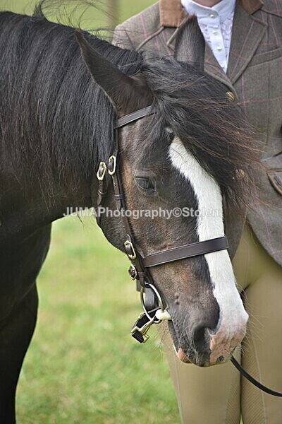 DSC_8132 - Rings 1 & 2