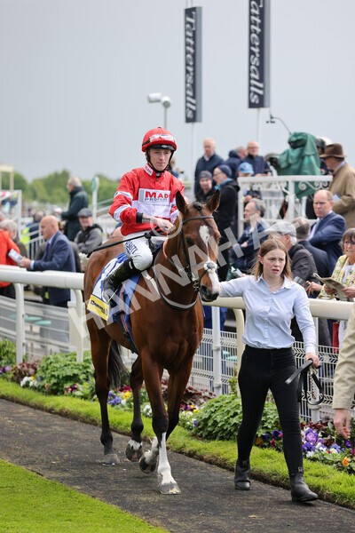yr11052022r2-18 - Race 2 2.25pm Churchill Tyres Stakes
