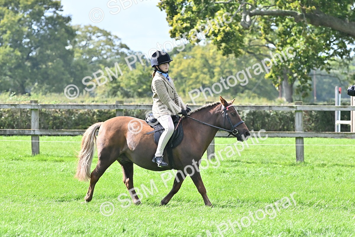 SBM_44520 - S13 - Pony Club Pony