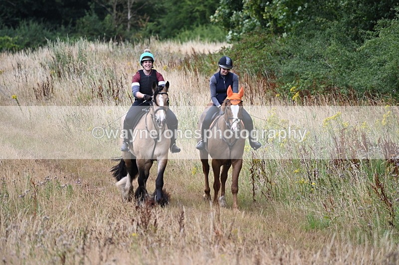 WJ6_2456 - Group 7