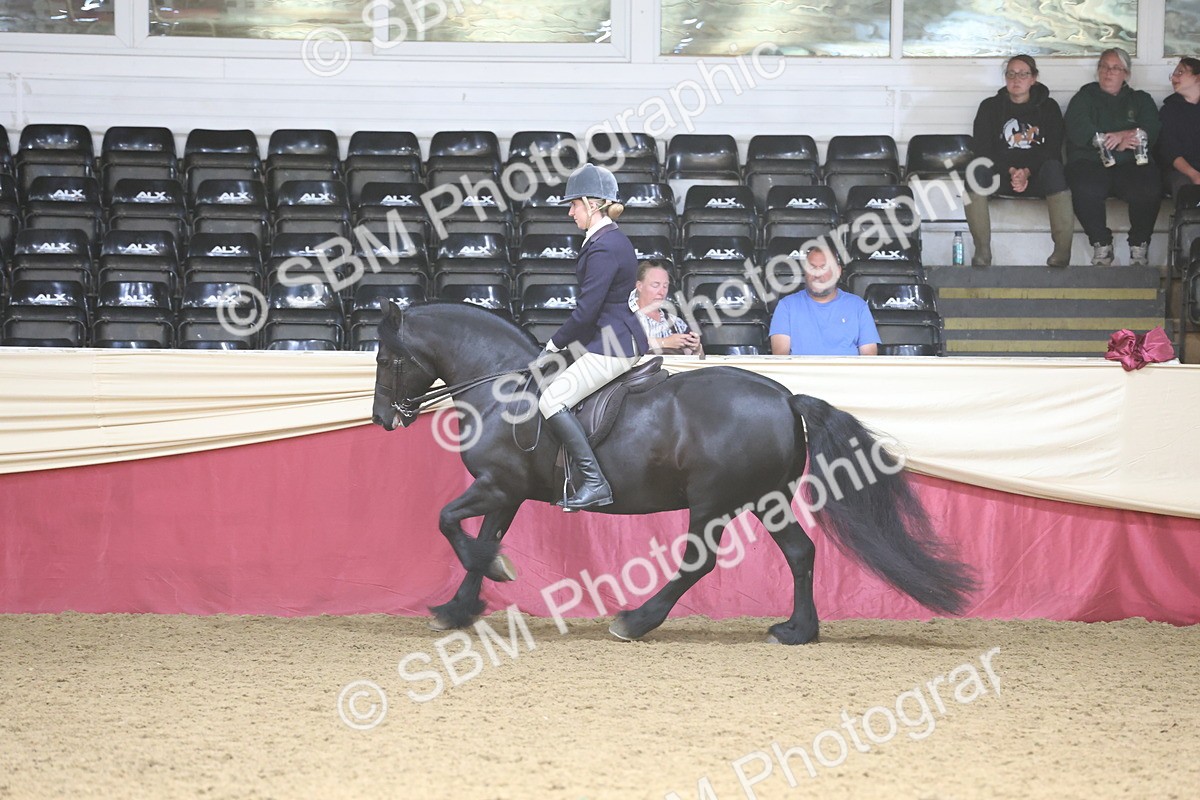 SBM_23832 - class 906 - Supreme Final - Ridden Pre Vet