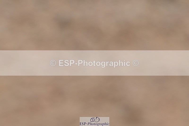 250621-145137-11600 - Cls 30 - Elementary 6