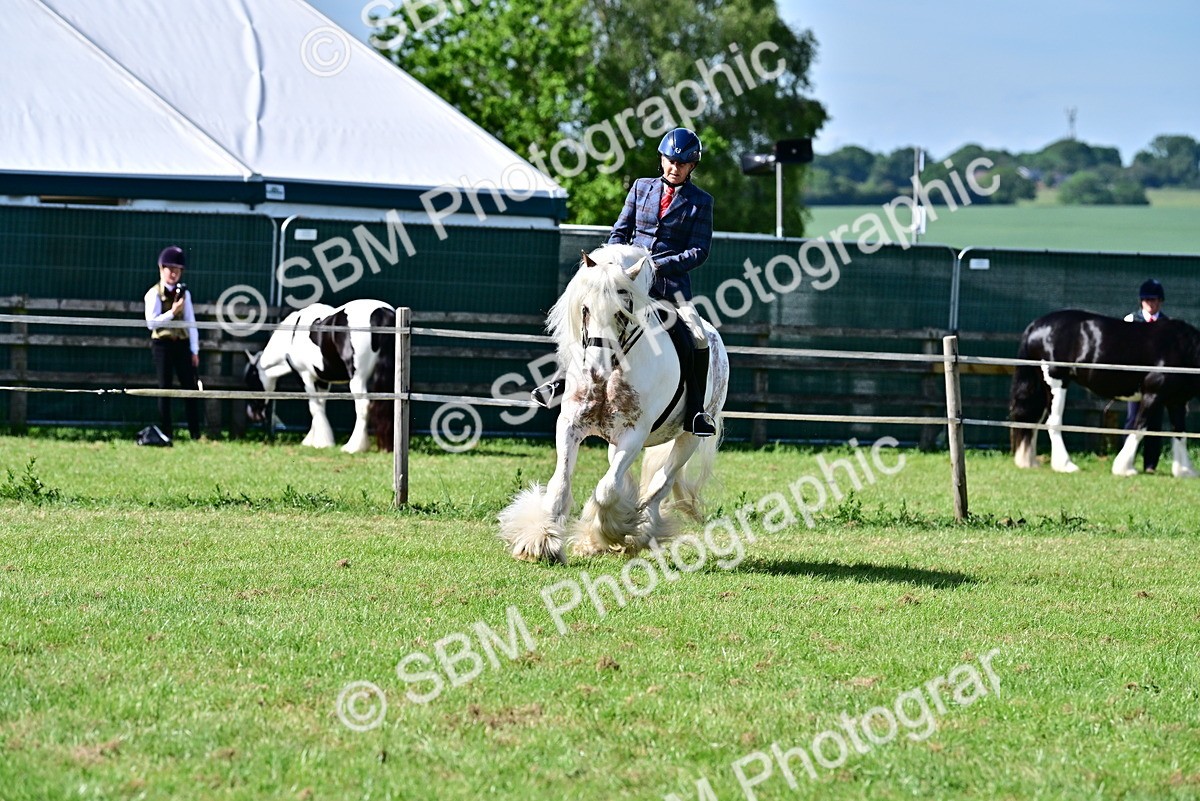 SBM_09391 - Class 63-65 - Traditional Gypsy Cobs In Hand & Ridden