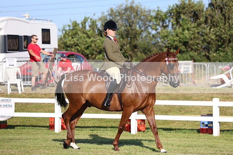 3E7A4891 - Class 1: Rising Star Small Hack/Riding Horses