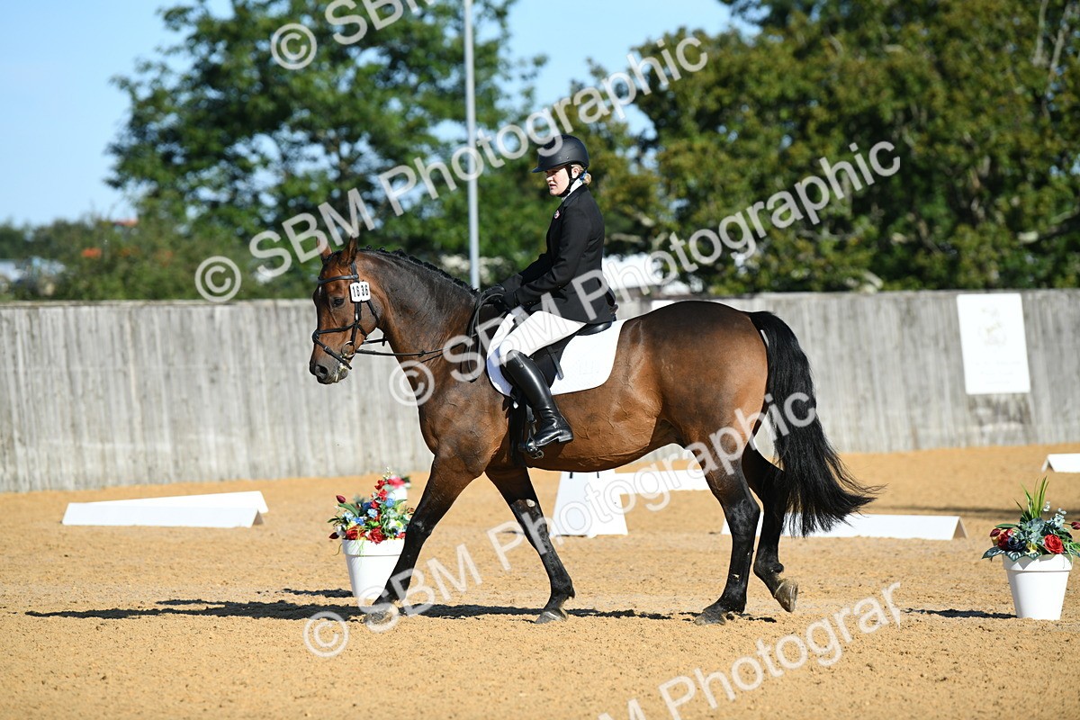 SBM_16200 - D4 - Small Tour Championship - Intro B