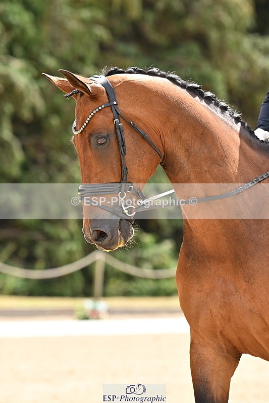 250808A-154540-01376 - 006-Katherine.CarneCalcourt.Romancier