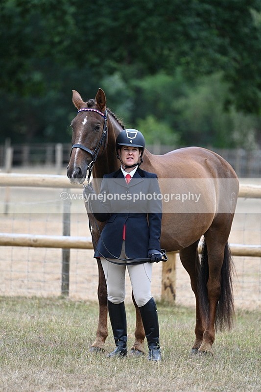 WJ7_9845 - Class 5a Most Handsome Gelding (above 14.2hh)
