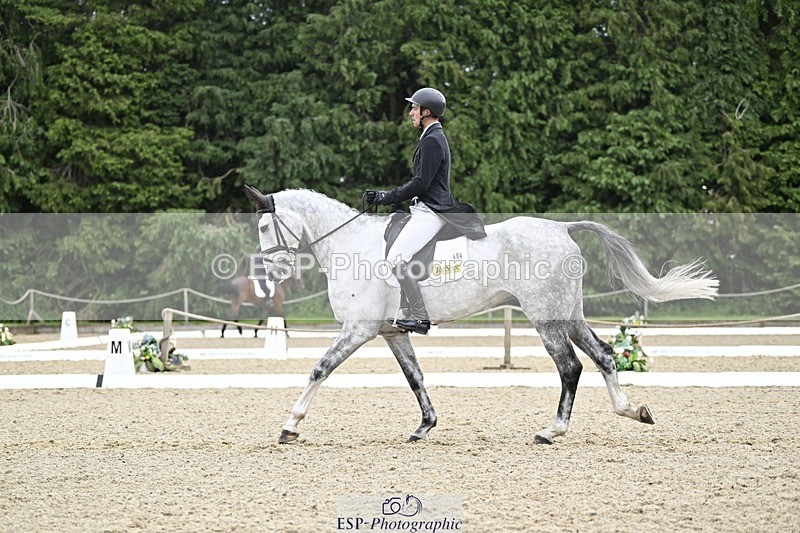 000101-215639-04501 - 404-DEERPAIRC_REVELRY-Max_Warburton