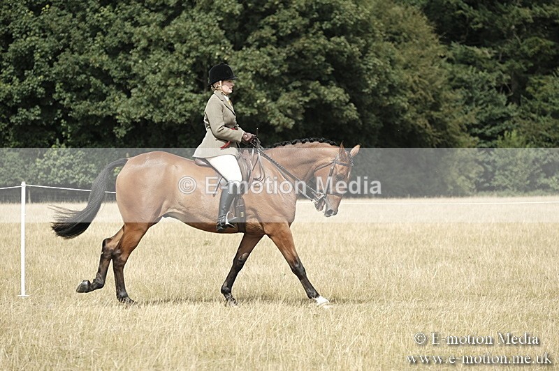 _PJP6115 - Ridden Championship BVRC Show 2018