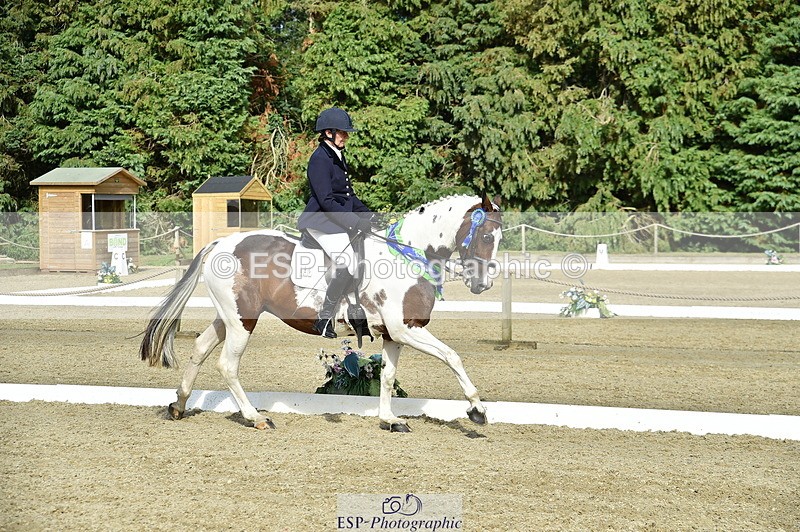 250720A-164014-12519 - Sunday Presentations