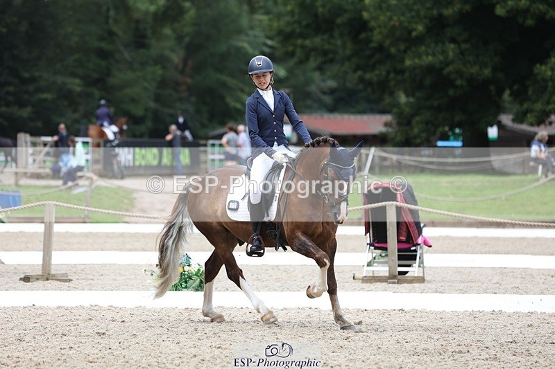 230812-120222-03913 - Cls 5 Novice Bronze 11.15 to 12.50 break