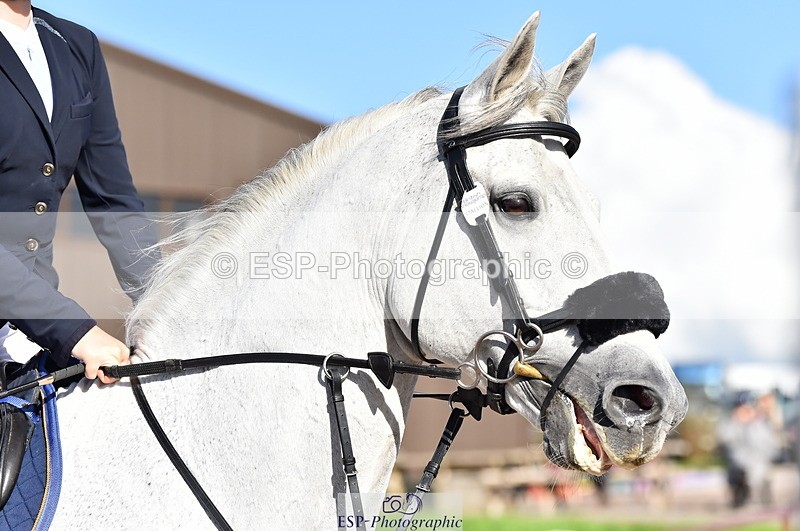 231014A-140612-05211 - Cls 15 1.05m Amateur Q 2nd R