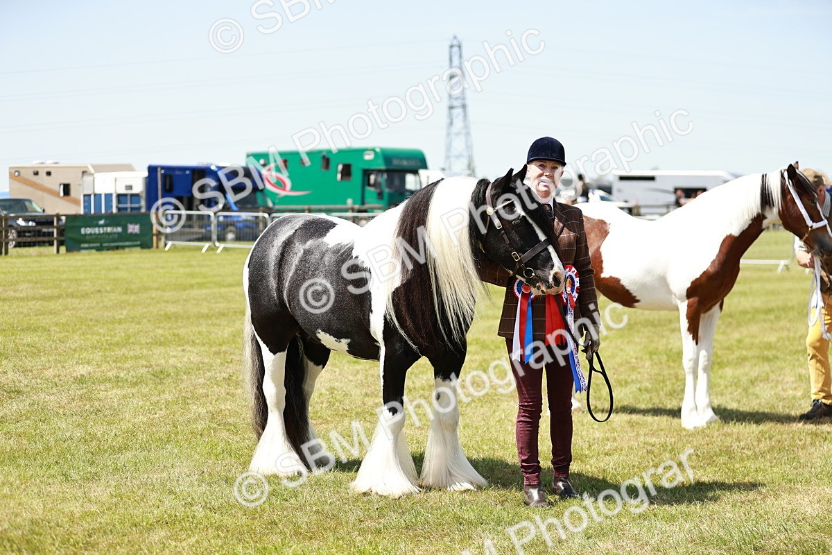 SBM_05519 - Class 41-45 - Riding Pony-Hunter Pony Breeding