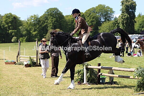 IMG_3708 - Working Hunter