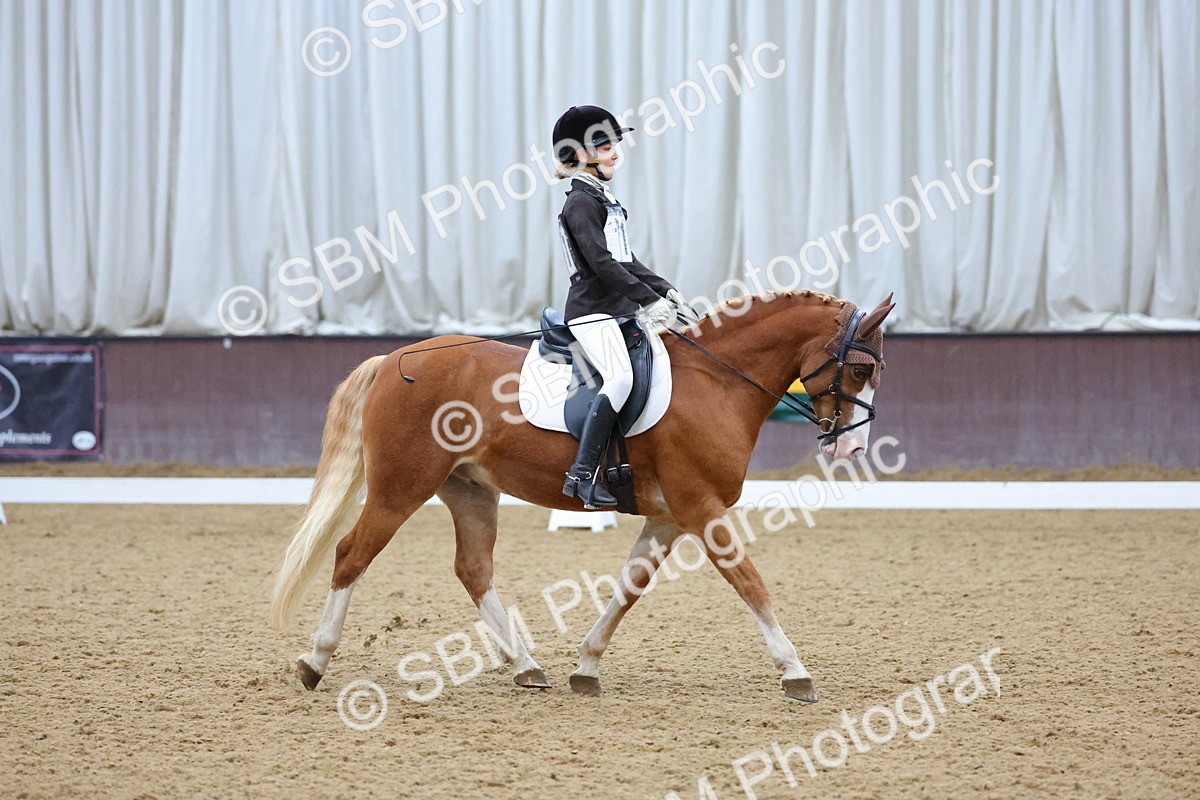 SBM_004190 - Intermediate