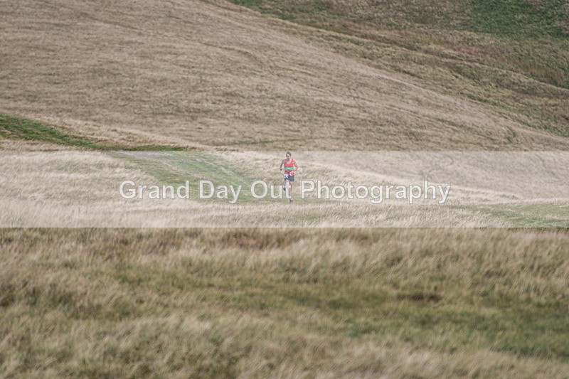 Sedbergh-378 - Sedbergh Hills Fell Race Sunday 18th August 2024