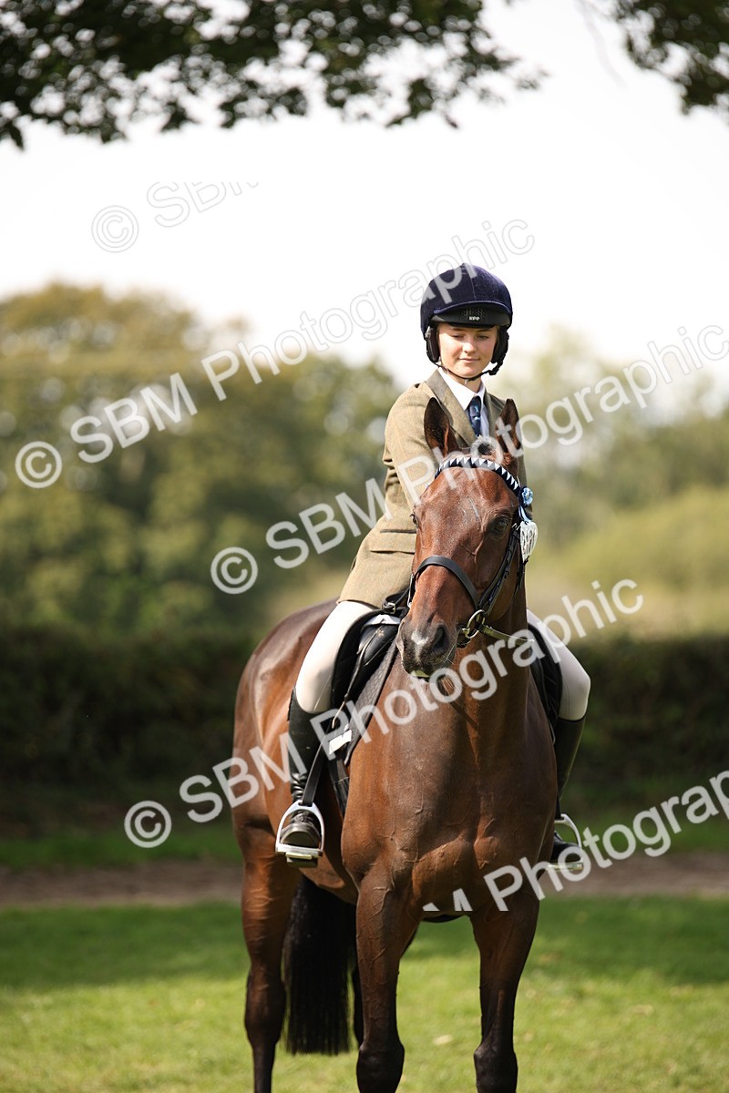 SBM_65978 - S64 - Riding Horse & Hack & Thoroughbred Ridden