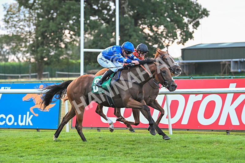 150825-Race 5-Jez Bomb-2991 - Race 5