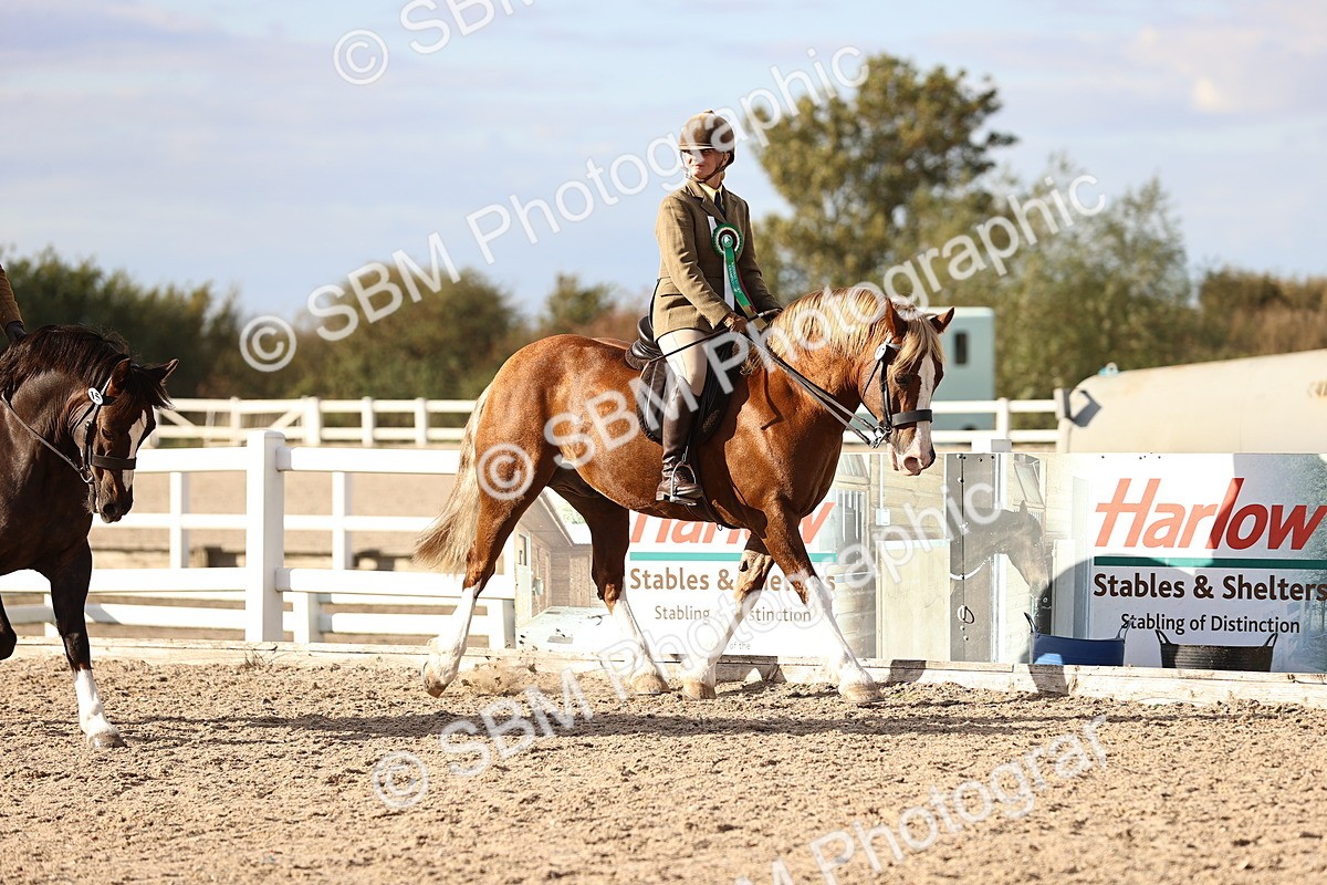SBM_18304 - Class 423 - Equitation (best rider) Adult