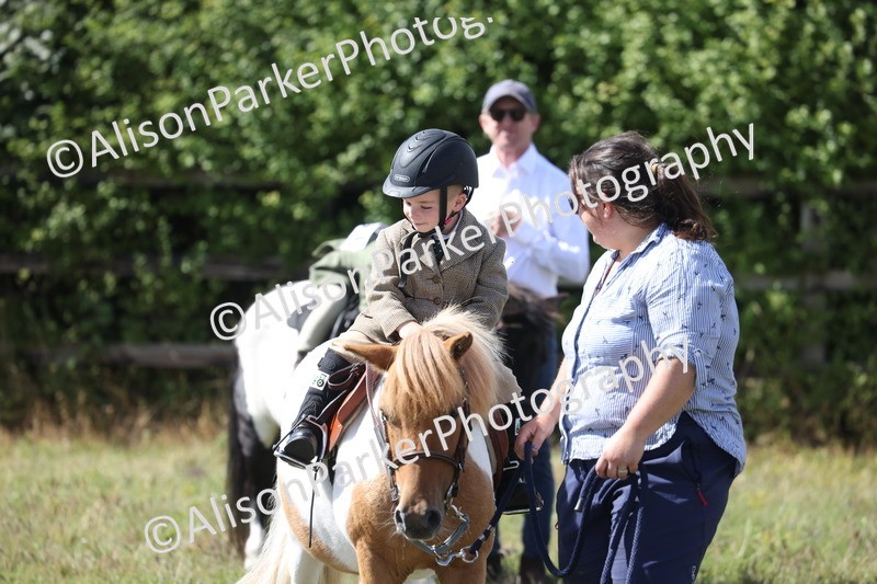 20260906-2802 - Class 25 - Absolute Beginners Pony