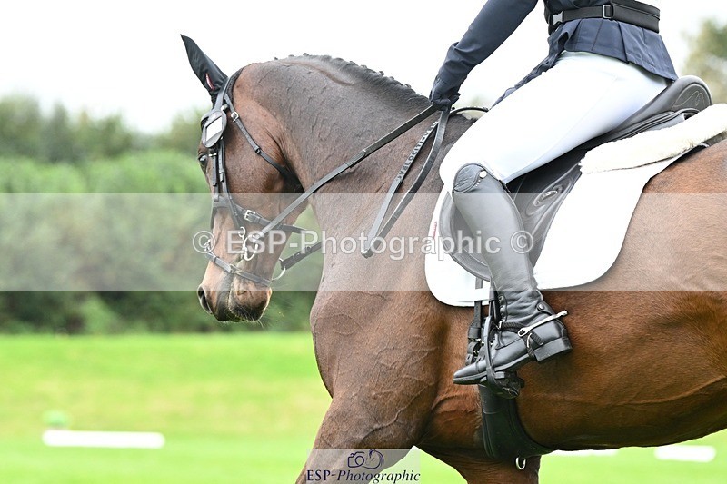 241024-120955-03322 - 511-Rosie.Doe-LOUIS