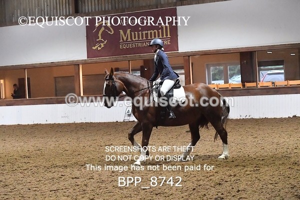 BPP_8742 - NOVICE 6 BD