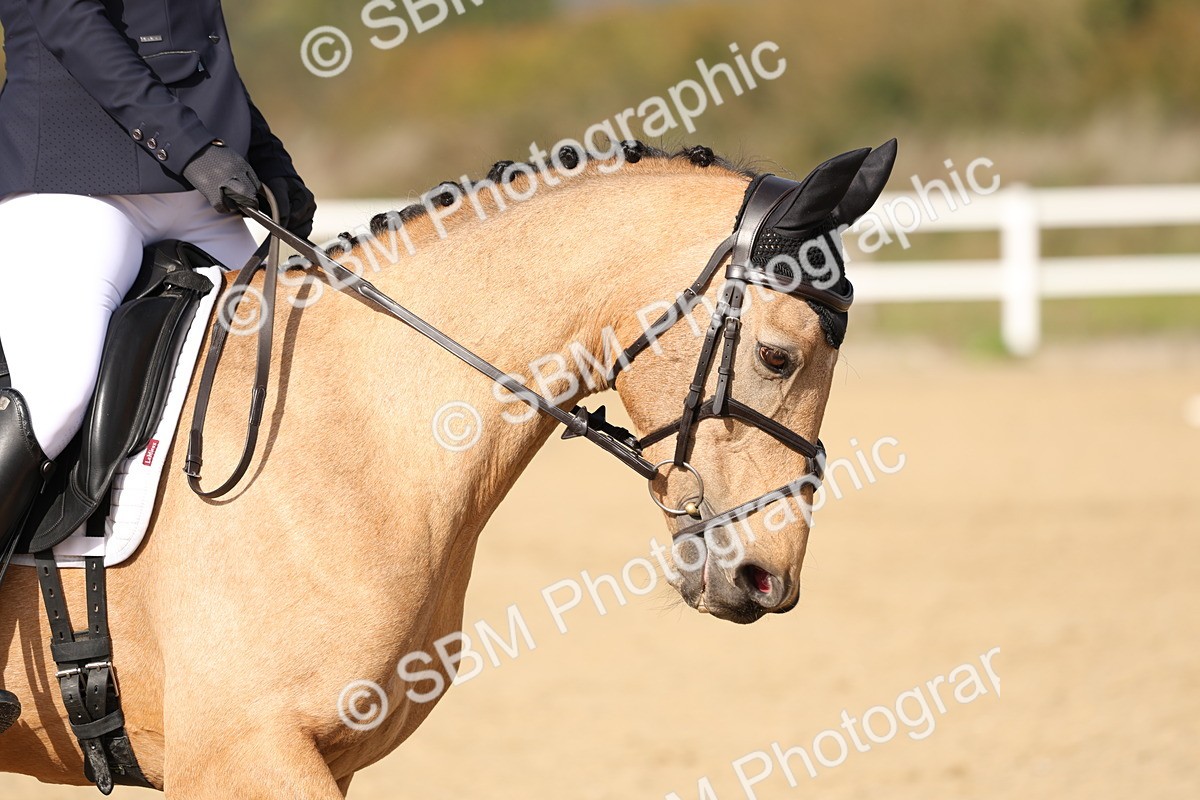 SBM_001341 - Class 3 - Novice 4