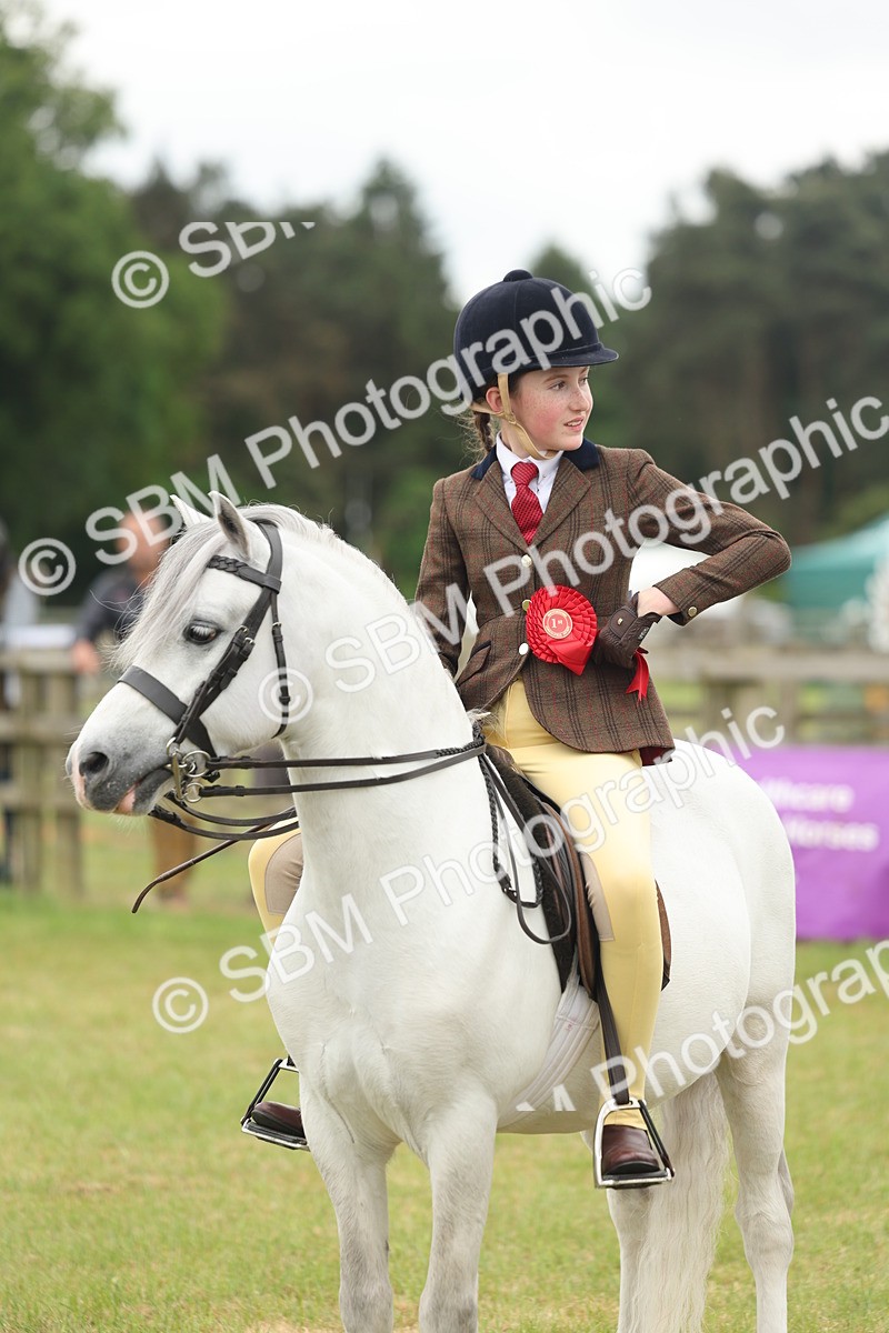 SBM_07132 - Class 76-77 - Ridden M&M Welsh Ponies