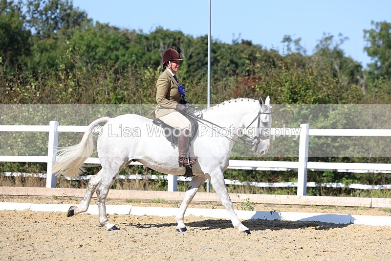 3E7A5649 - Class 9: Open Ridden Hunter