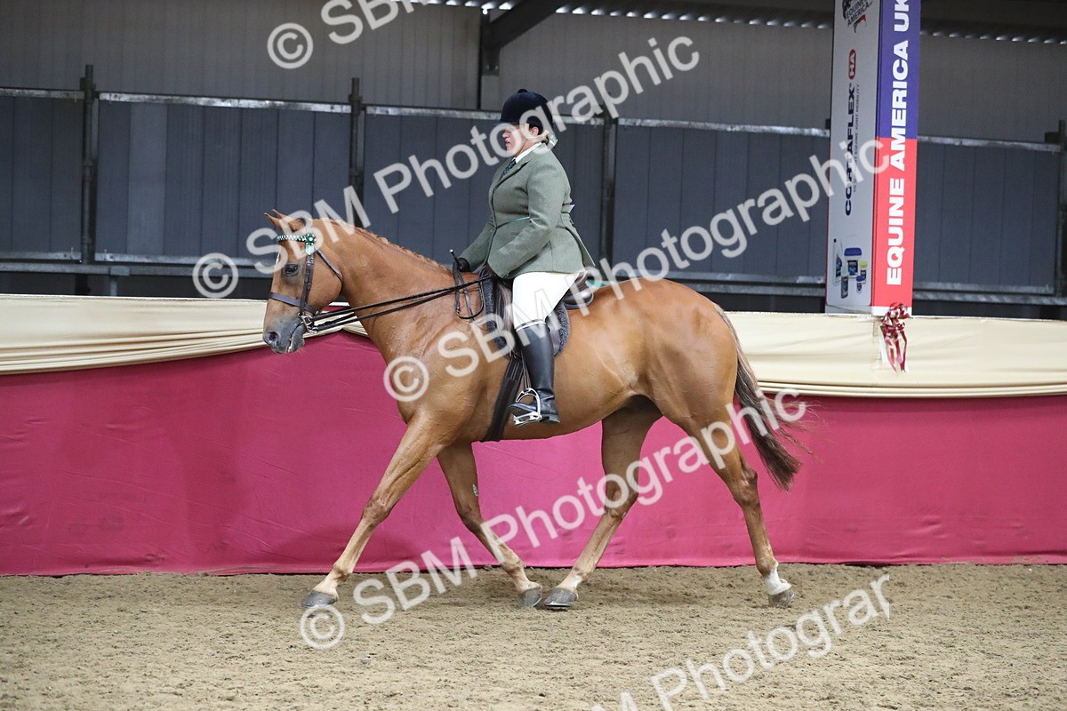 SBM_12340 - Class 108 Ridden Retired Racehorse- Pre Judging