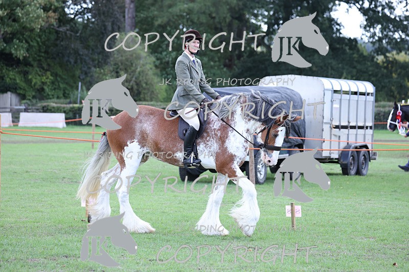 APP_3615 - Class 8 Ridden Class