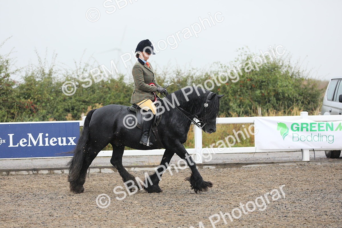 SBM_20652 - Class 804 - Ridden Veteran Pony