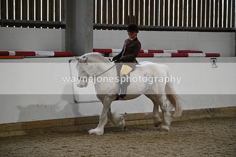 WJ7_4192 - Class 17 Ridden Cob