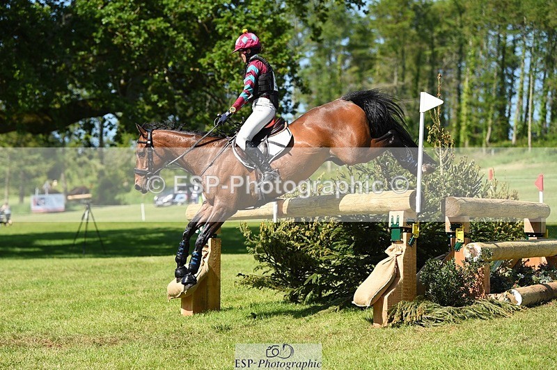 230527-163304-12168 - 373-BENGAL_LORE-Pippa_Taylor-XC