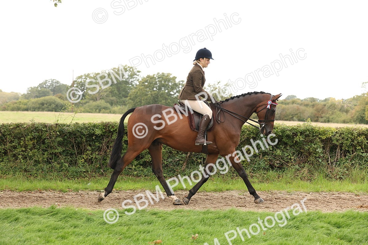 SBM_64170 - S65 - Riding Horse & Hack & Thoroughbred Ridden