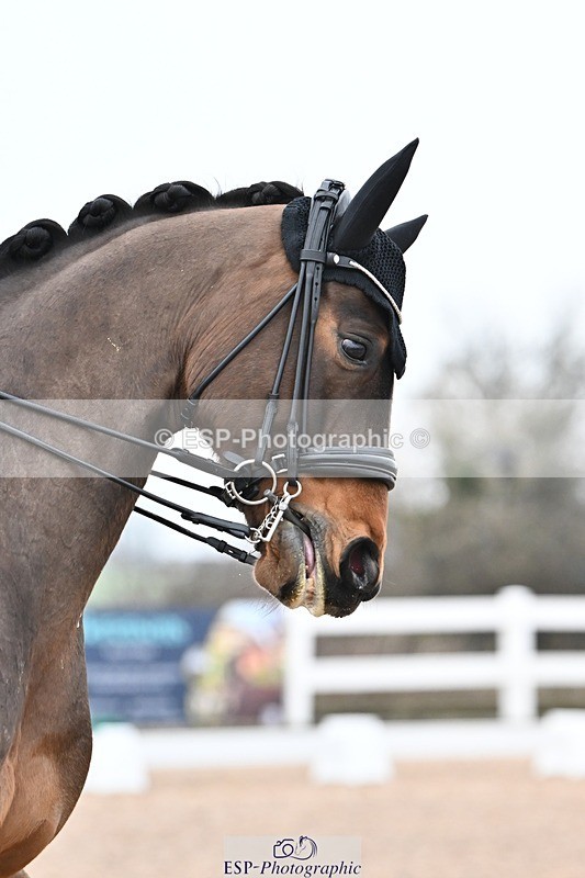 250216-134307-05688 - 171-Ellen.Glover-Morricones.Love.MFS