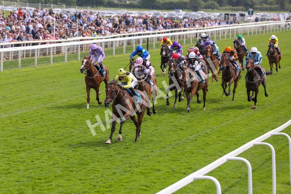 170524-Race 2-Botanical-2155 - Race 2 2.45pm Knights Solicitors Handicap