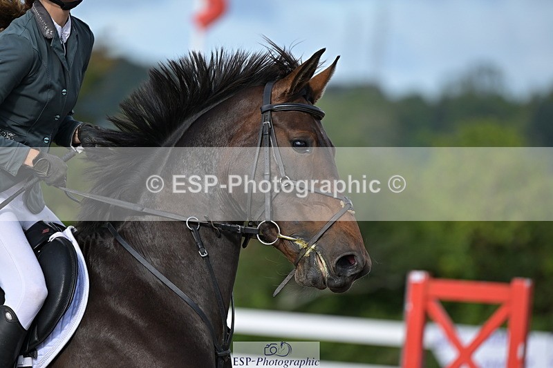 240912A-095532-00836 - Cls 8 Snr British Novice and 90cm Open