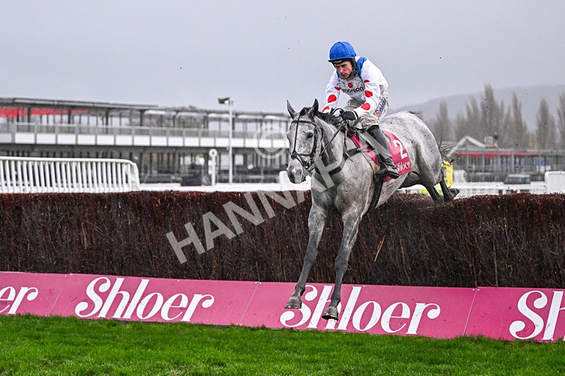 141125-Race 4-LEau du Sud-0421 - Race 4