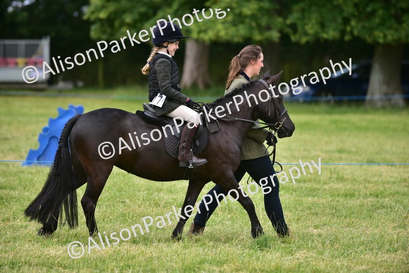 20260614-3641 - Class 15 - Prettiest Mare