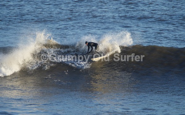 DSC_7499 - East Coast 27th Dec 2016