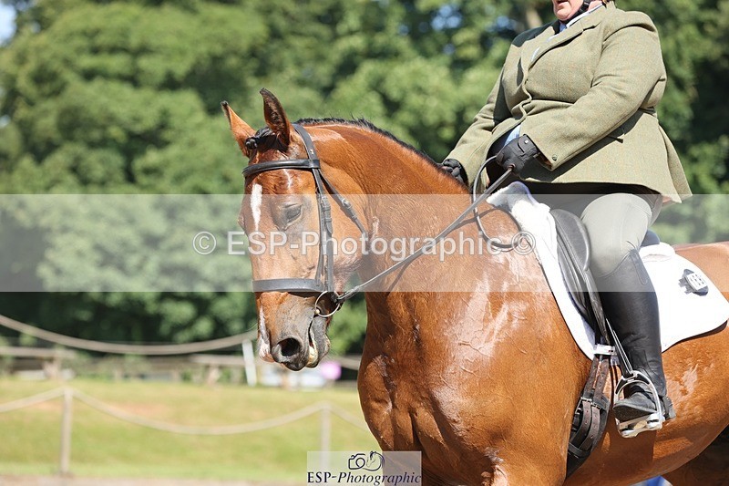 240719-105136-00800 - 169-Marion_Eaves-Indigo_Queen_of_Hearts